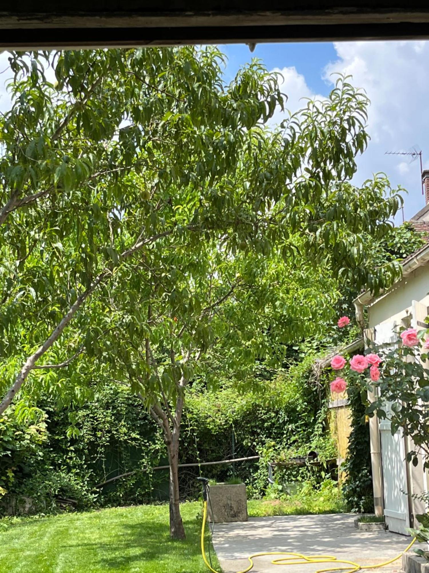 Endroit Charmant Coulommiers Exterior foto